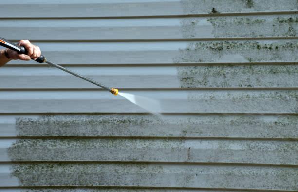 Best Roof Pressure Washing  in Abaster, AL